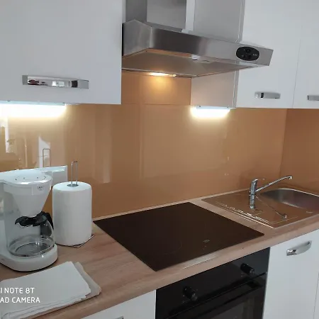 Bruno * 木洛希尼