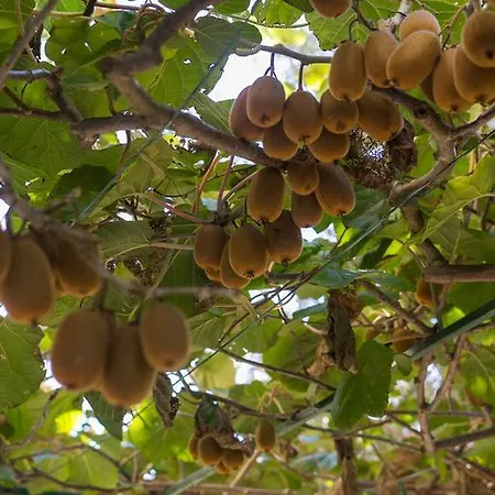 Appartement Bruno Mali Lošinj