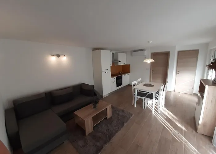 Bruno マリ・ロシニュ