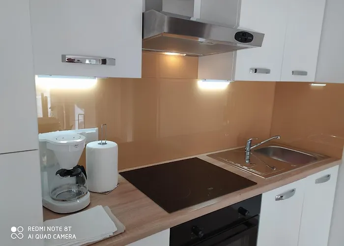 Bruno * マリ・ロシニュ