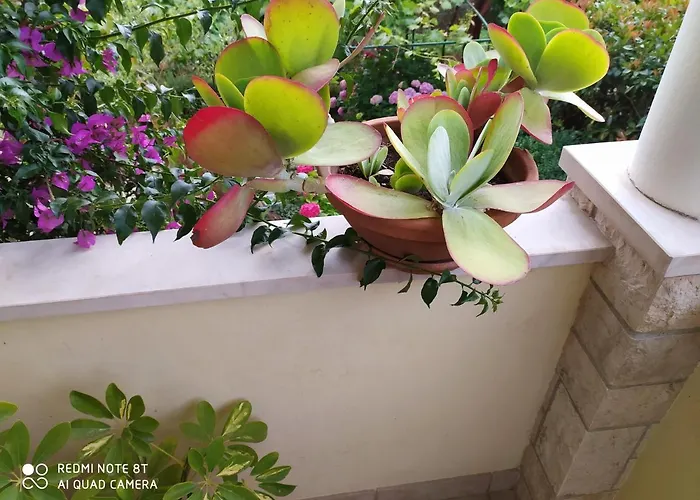 Bruno Apartament Mali Lošinj