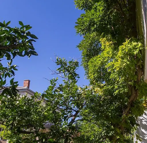 Bruno マリ・ロシニュ