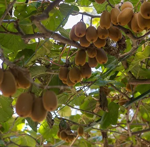 アパート Bruno マリ・ロシニュ