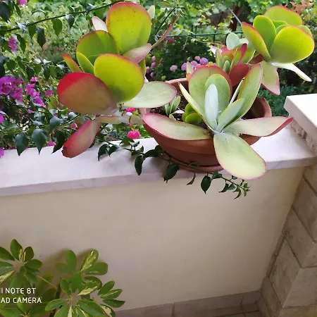 Bruno Apartamento Mali Lošinj